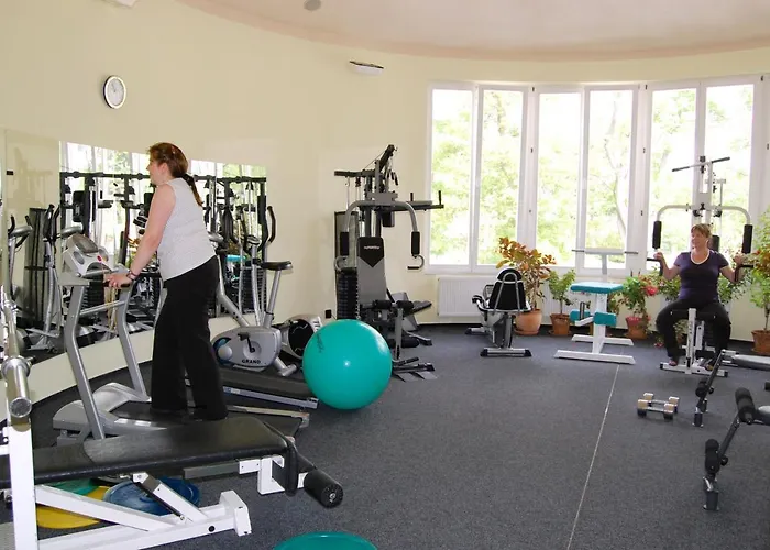 Hotel Lazensky Dum Erika 4*